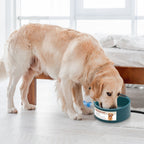 Heated Water Bowl for Dog Cat 74.4OZ