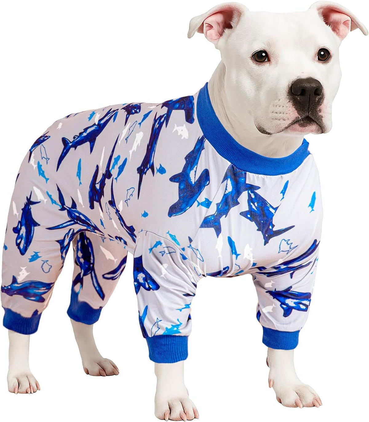 Dog Pajamas & Bodysuit