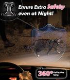 Escape-Proof Cat Harness & Leash Set