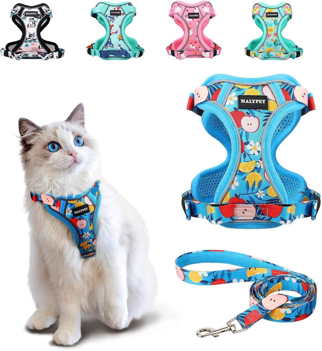 Escape-Proof Cat Harness & Leash Set