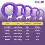 Dog Ring Fetch Toy Medium Dogs MIDI Size 2 Rings