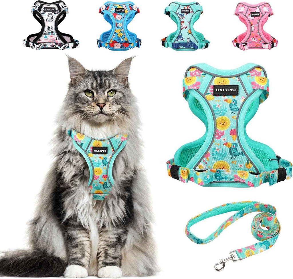Escape-Proof Cat Harness & Leash Set