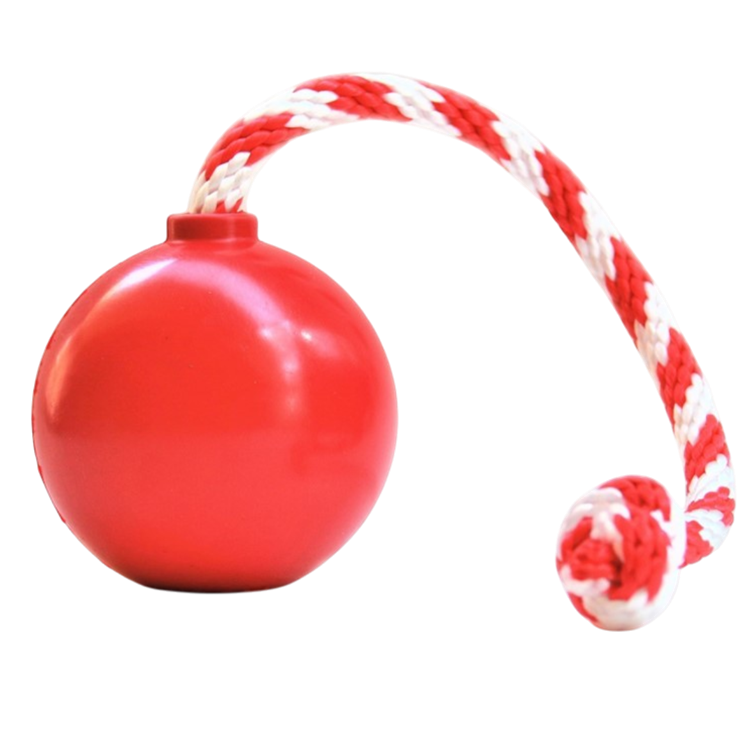 USA-K9 Cherry Bomb Rubber Dog Chew Toy
