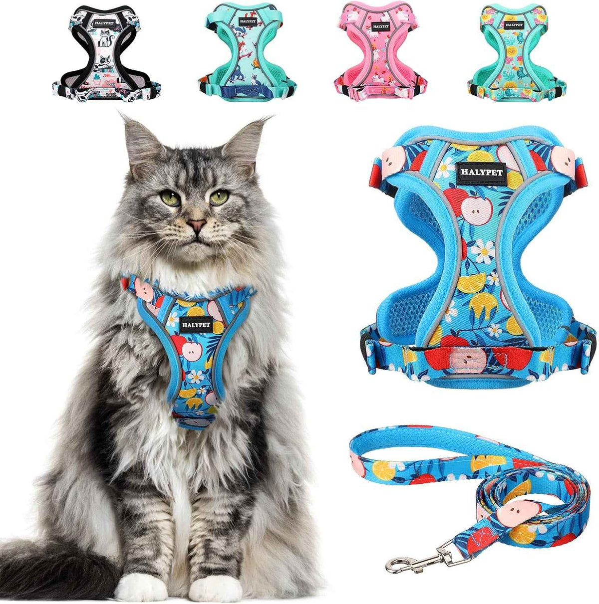Escape-Proof Cat Harness & Leash Set
