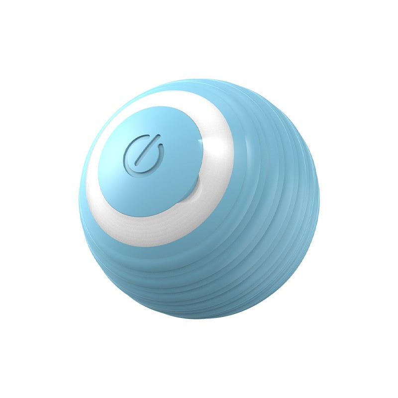 Electronic Interactive Pet Toy