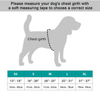 NeoAlly Upgraded Dog Surgical Recovery Vest for Dogs and Cats