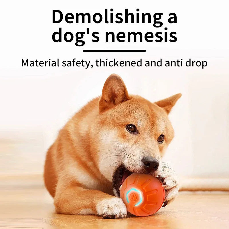 Electronic Interactive Pet Toy