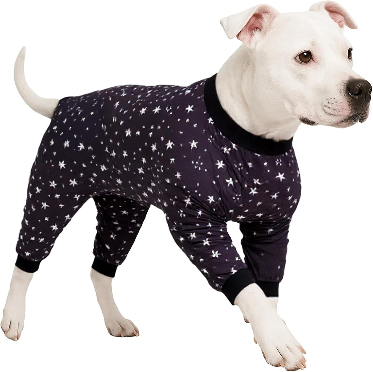 Dog Pajamas & Bodysuit