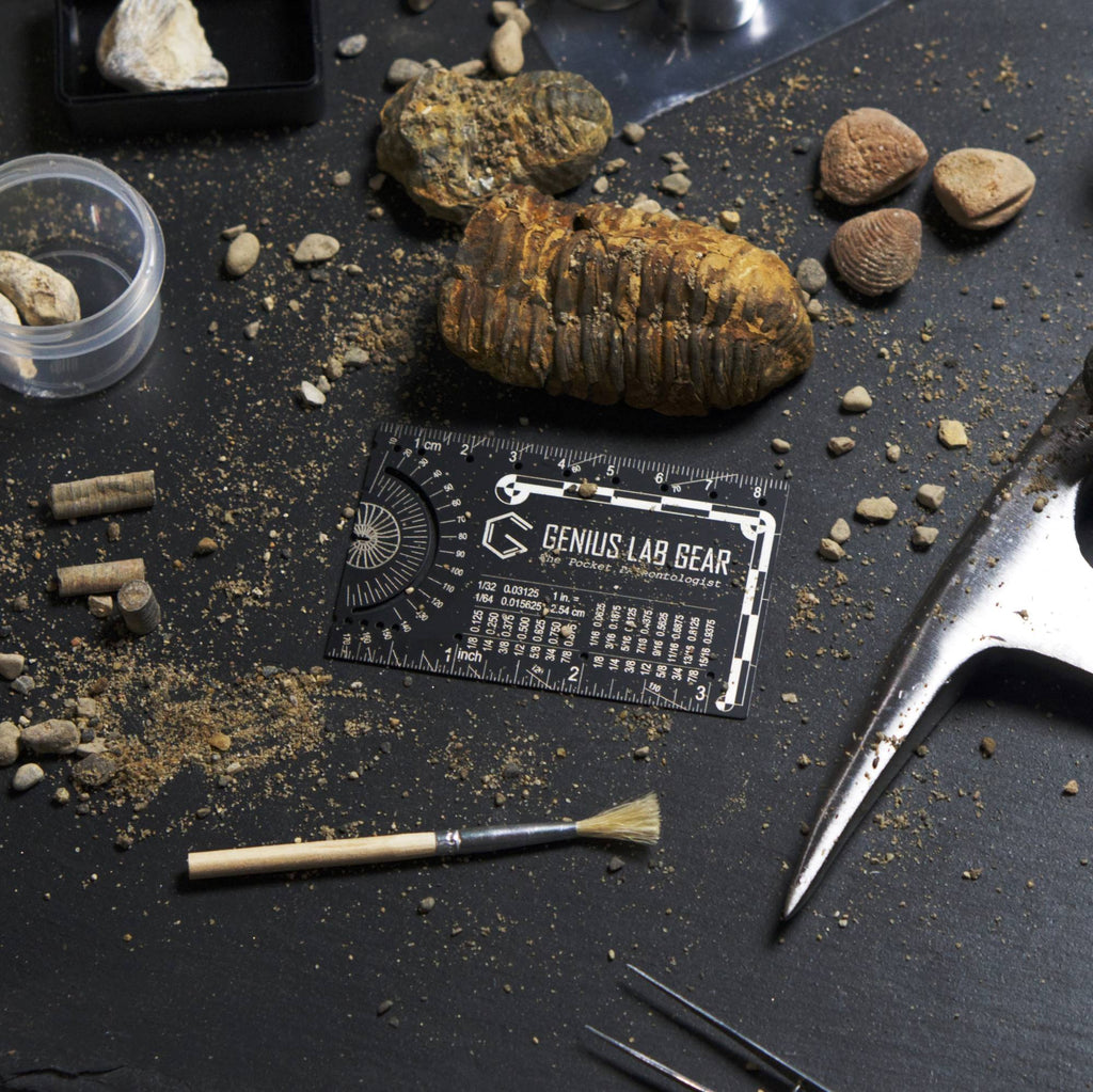 The Pocket Paleontologist