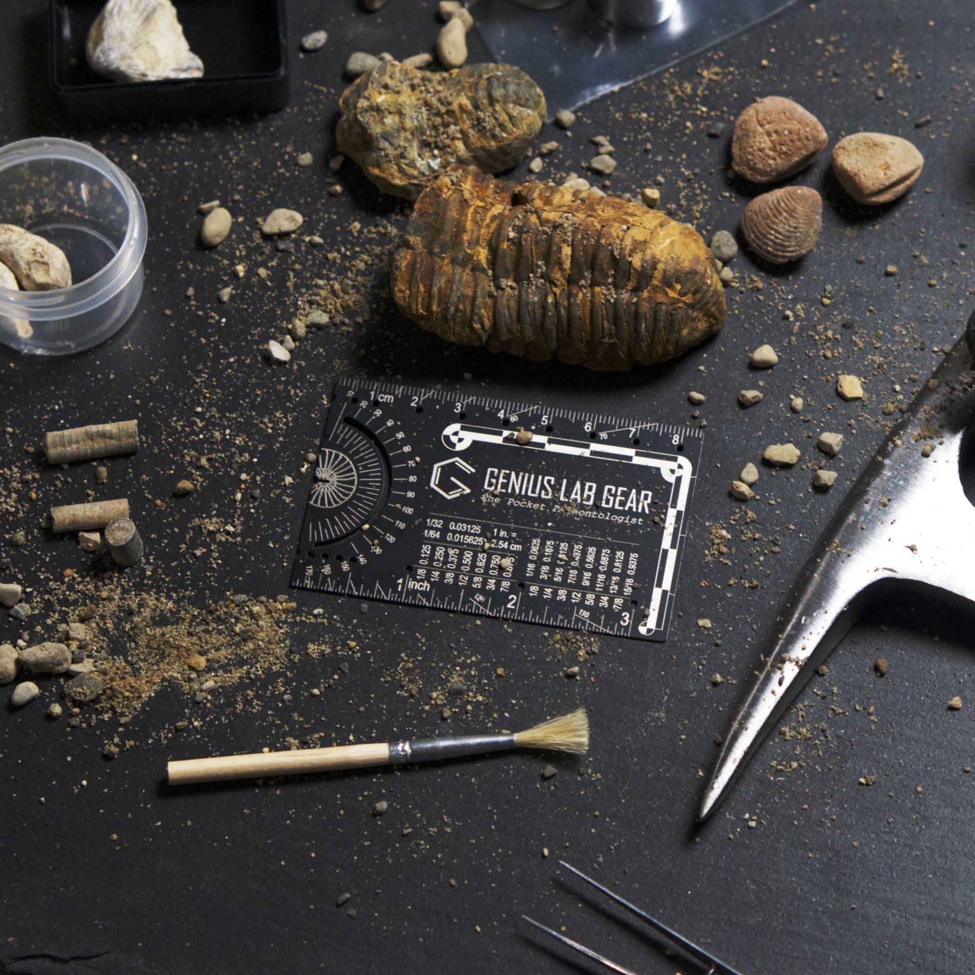 The Pocket Paleontologist
