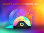 Multicolor Camping Lantern