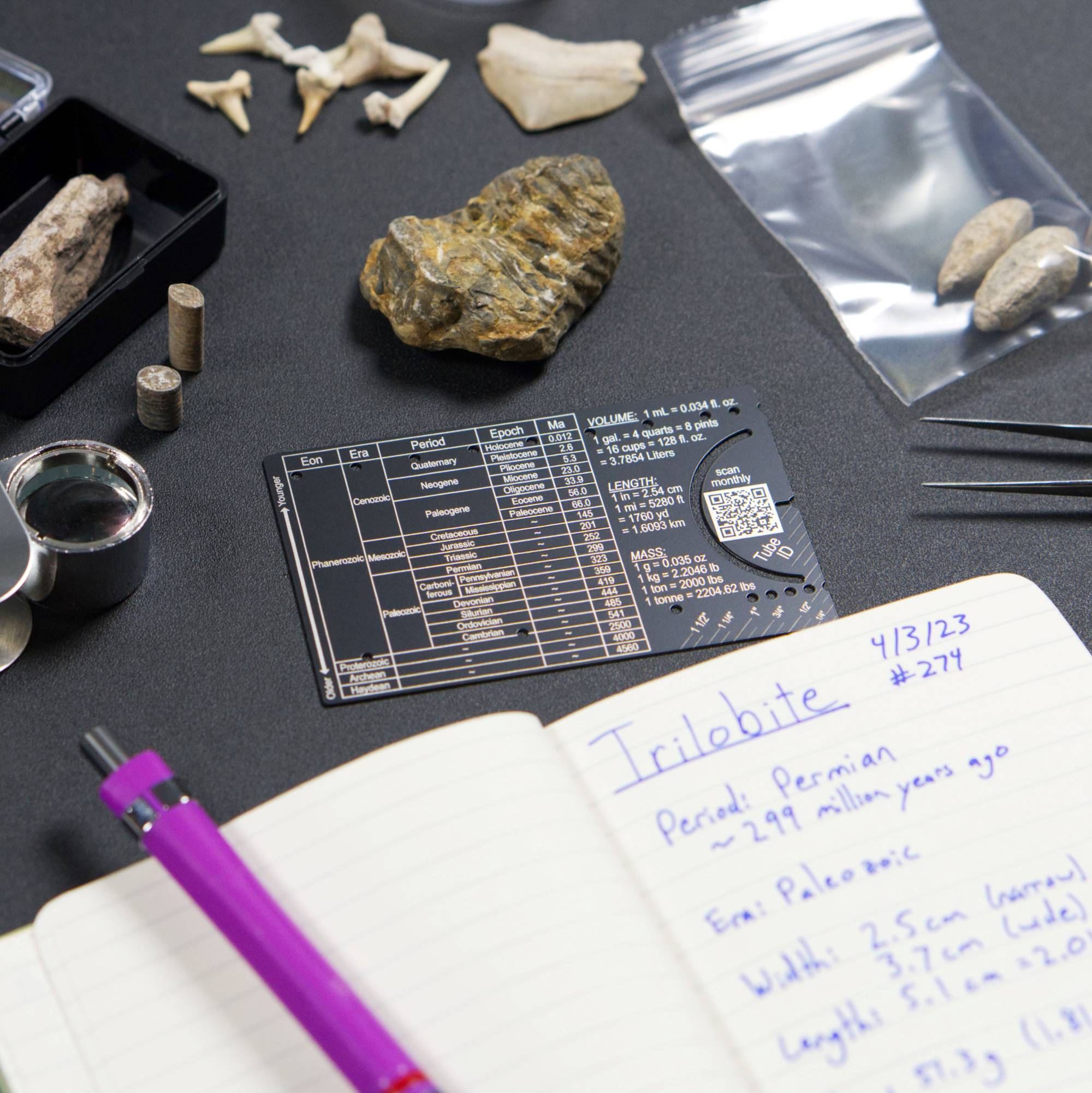 The Pocket Paleontologist