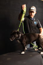 Rescue Pro Harness Leash