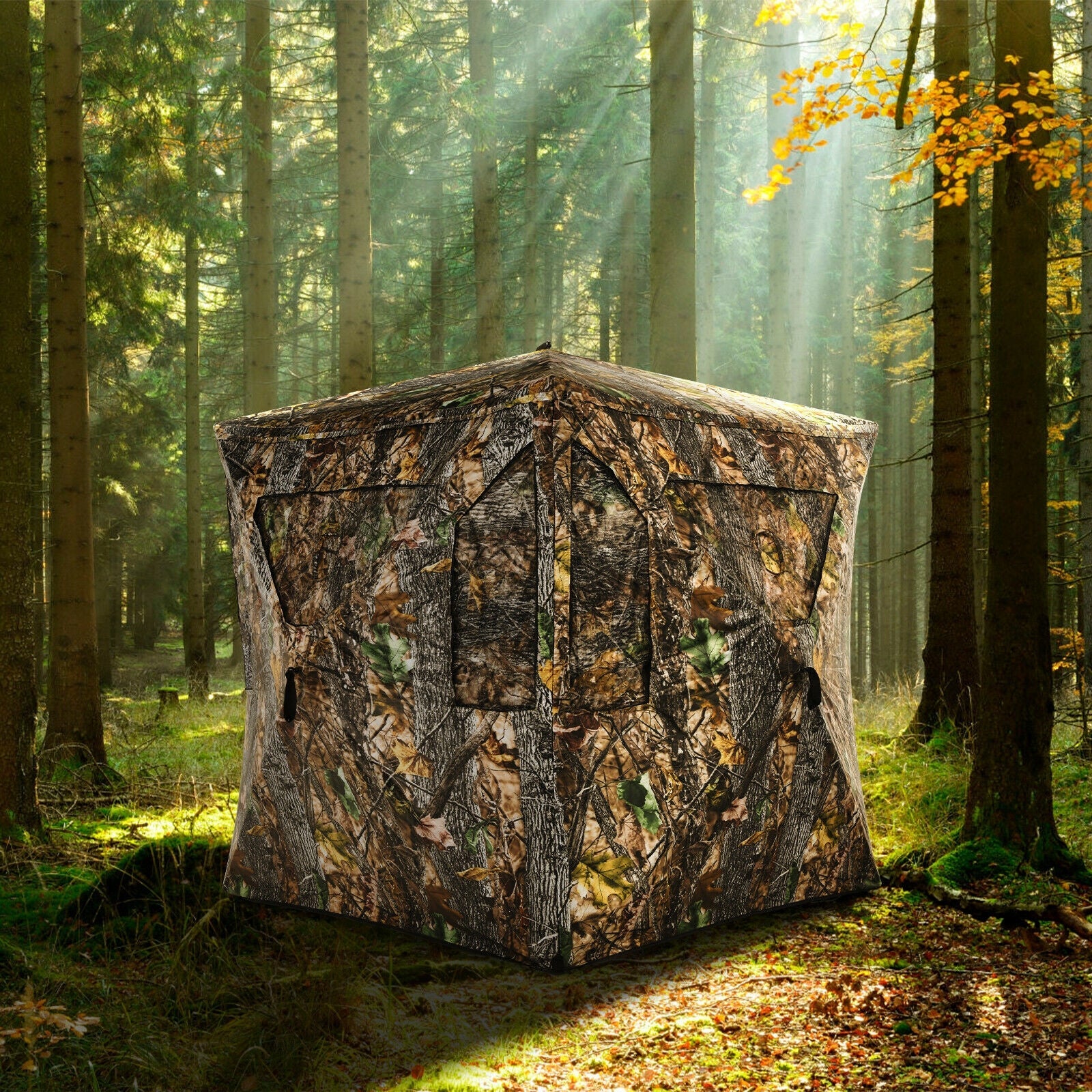 3 Person Portable Pop-Up Ground Tent