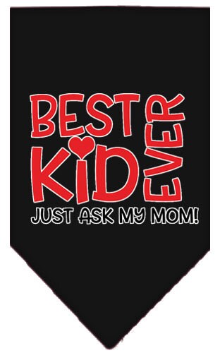 Pet and Dog Bandana