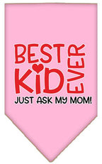 Pet and Dog Bandana