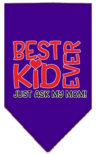 Pet and Dog Bandana