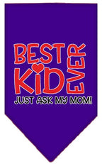 Pet and Dog Bandana