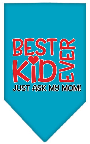 Pet and Dog Bandana