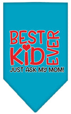 Pet and Dog Bandana