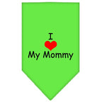 Pet and Dog Bandana