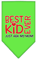 Pet and Dog Bandana