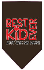 Pet and Dog Bandana