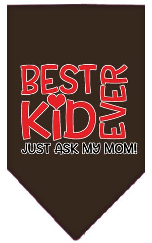 Pet and Dog Bandana
