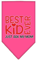 Pet and Dog Bandana
