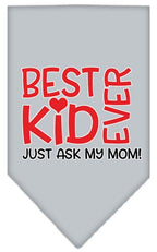 Pet and Dog Bandana