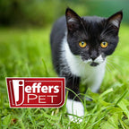 Jeffers Low Profile Stainless Steel Double Diner Pet Bowls
