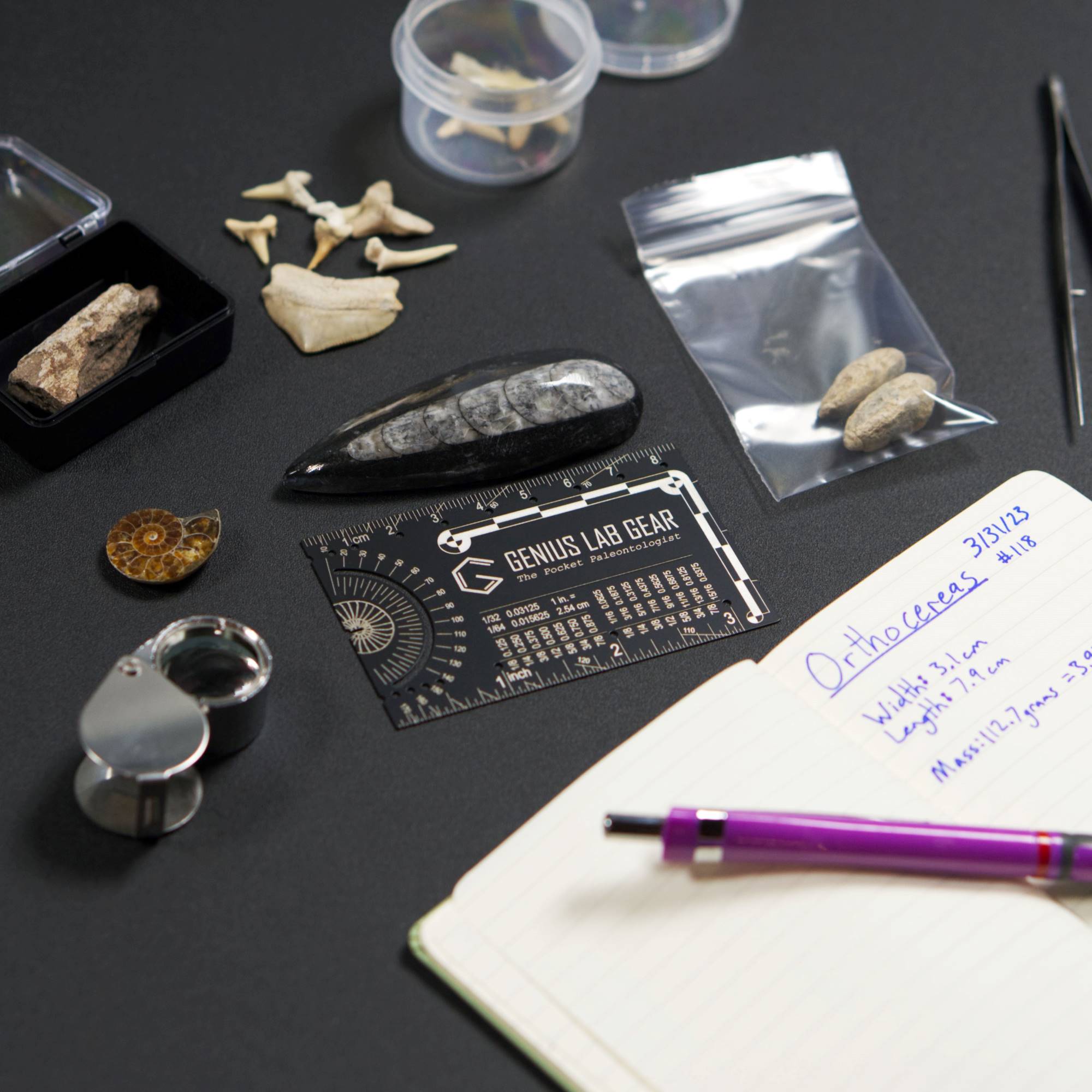 The Pocket Paleontologist