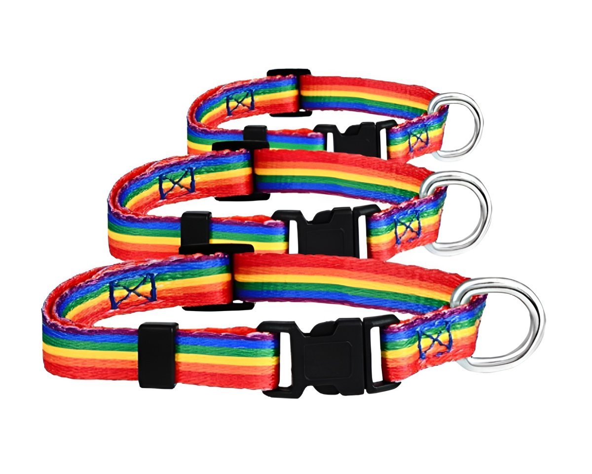 Rainbow Striped Extra Large Dog/Cat/Pet Collars