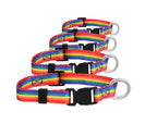 Rainbow Striped Extra Large Dog/Cat/Pet Collars
