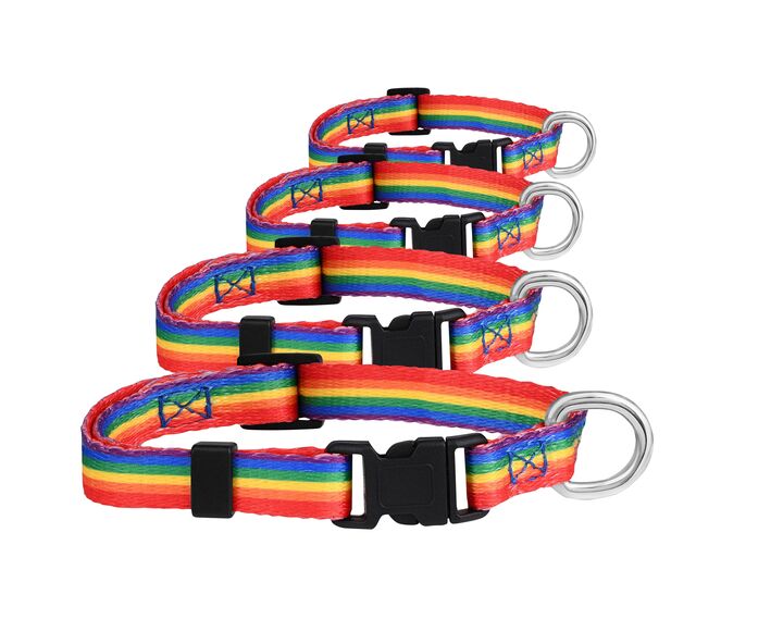 Rainbow Striped Extra Large Dog/Cat/Pet Collars