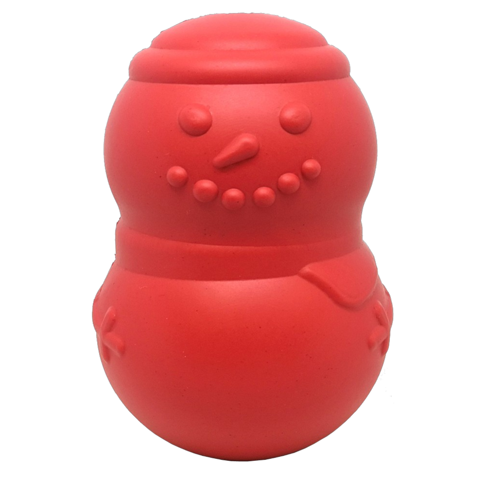 Durable Winter Chew Toy