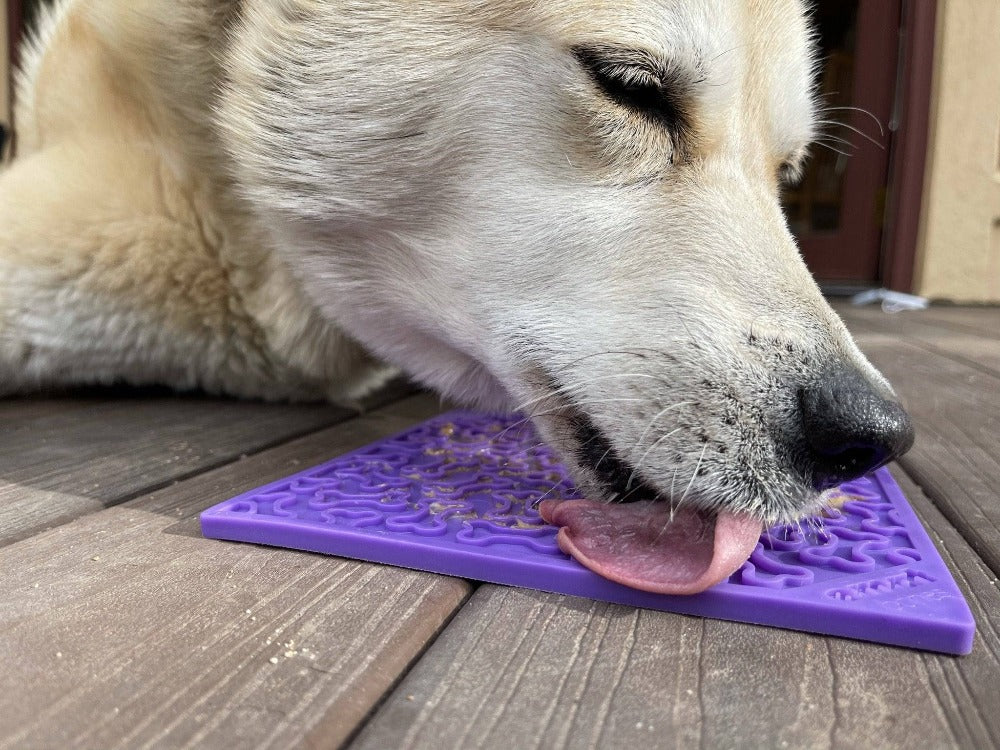 Bones eMat - Enrichment Lick Mat