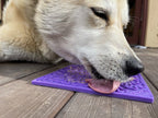 Bones eMat - Enrichment Lick Mat