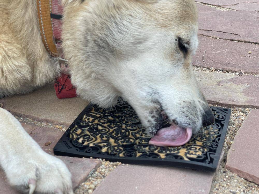 Enrichment Lick Mat for Dogs
