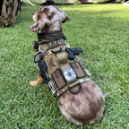 K9R - M5 MOLLE Light Harness