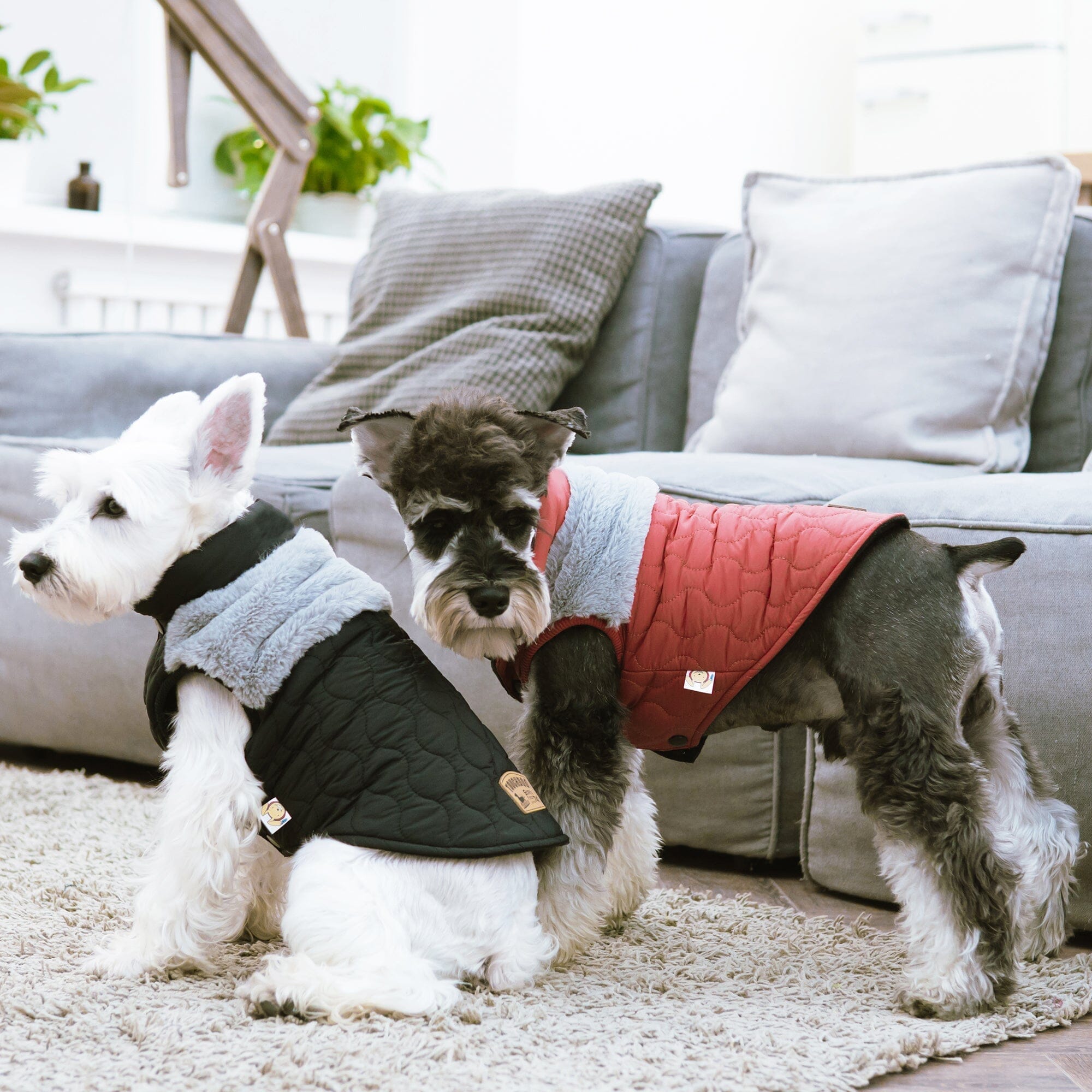 Fur and Fleece  Dog Jacket